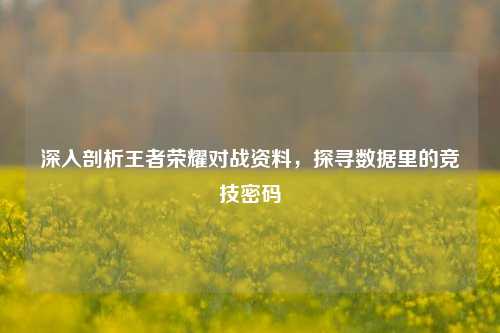 深入剖析王者荣耀对战资料，探寻数据里的竞技密码