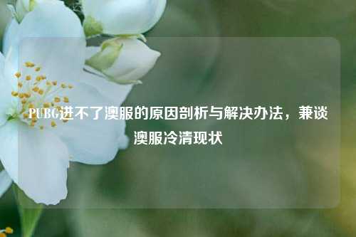 PUBG进不了澳服的原因剖析与解决办法,兼谈澳服冷清现状