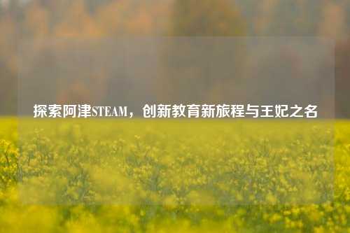 探索阿津STEAM,创新教育新旅程与王妃之名