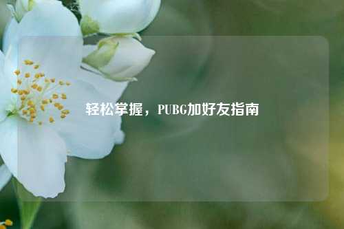 轻松掌握，PUBG加好友指南
