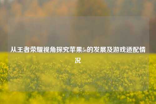 从王者荣耀视角探究苹果5s的发展及游戏适配情况
