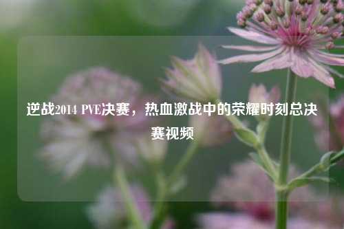 逆战2014 PVE决赛,热血激战中的荣耀时刻总决赛视频