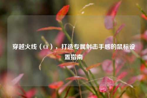 穿越火线（CF），打造专属射击手感的鼠标设置指南