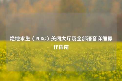 绝地求生（PUBG）关闭大厅及全部语音详细操作指南