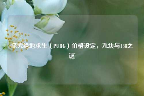 探究绝地求生（PUBG）价格设定，九块与188之谜