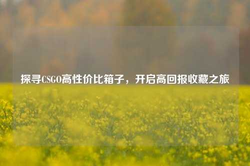 探寻CSGO高性价比箱子,开启高回报收藏之旅