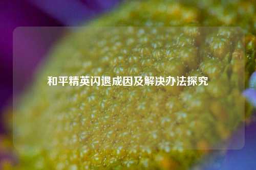 和平精英闪退成因及解决办法探究