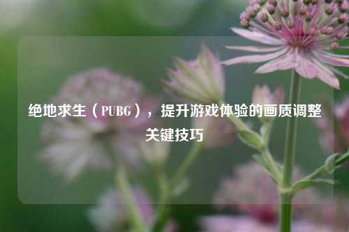 绝地求生（PUBG），提升游戏体验的画质调整关键技巧