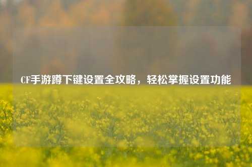 CF手游蹲下键设置全攻略，轻松掌握设置功能