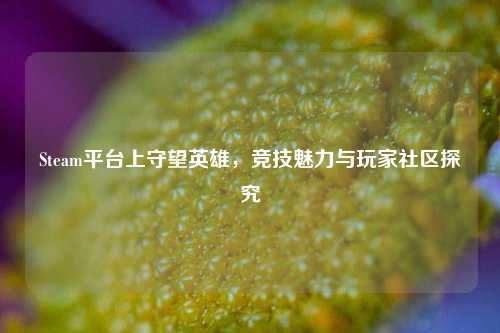 Steam平台上守望英雄，竞技魅力与玩家社区探究