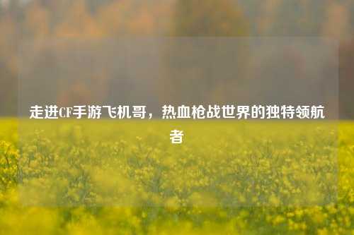 走进CF手游飞机哥,热血枪战世界的独特领航者