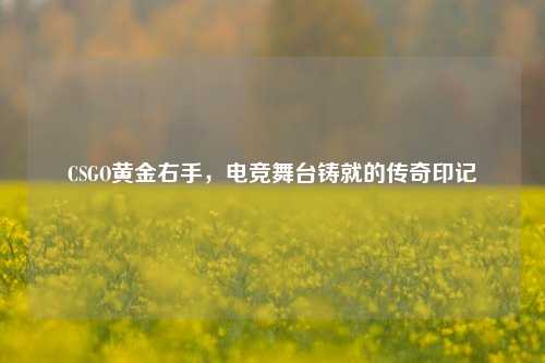 CSGO黄金右手，电竞舞台铸就的传奇印记