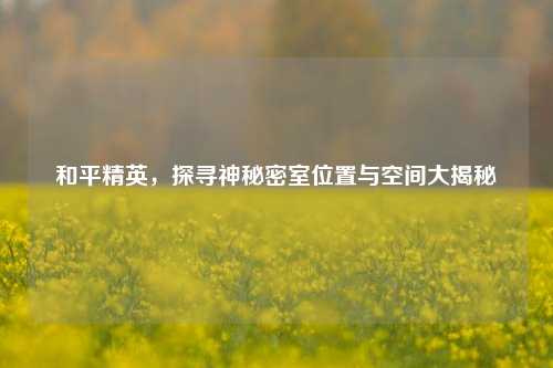 和平精英，探寻神秘密室位置与空间大揭秘