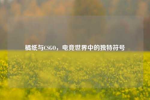 橘纸与CSGO,电竞世界中的独特符号