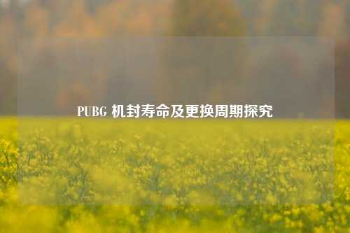 PUBG 机封寿命及更换周期探究