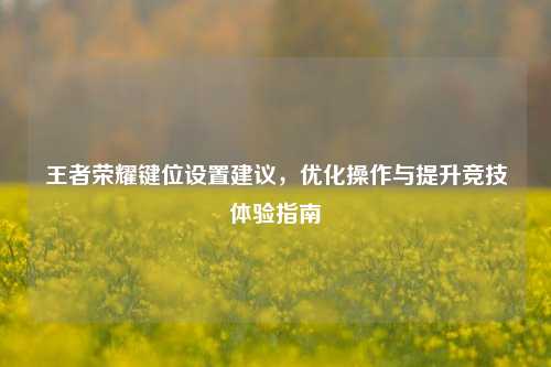 王者荣耀键位设置建议，优化操作与提升竞技体验指南