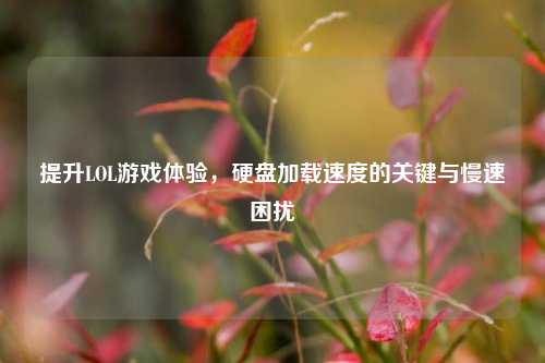 提升LOL游戏体验,硬盘加载速度的关键与慢速困扰