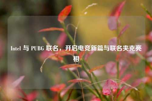 Intel 与 PUBG 联名,开启电竞新篇与联名夹克亮相
