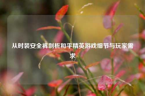 从时装安全裤剖析和平精英游戏细节与玩家需求