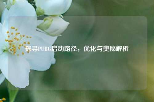 探寻PUBG启动路径,优化与奥秘解析