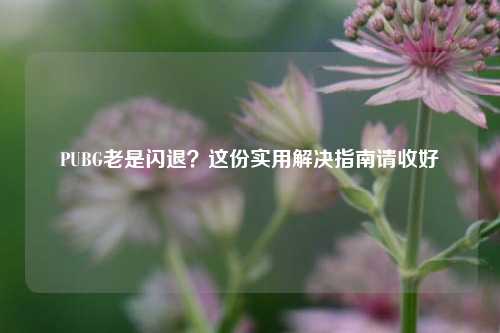 PUBG老是闪退？这份实用解决指南请收好