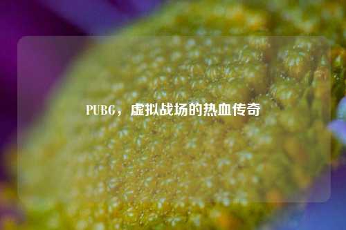 PUBG，虚拟战场的热血传奇