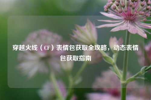 穿越火线(CF)表情包获取全攻略,动态表情包获取指南