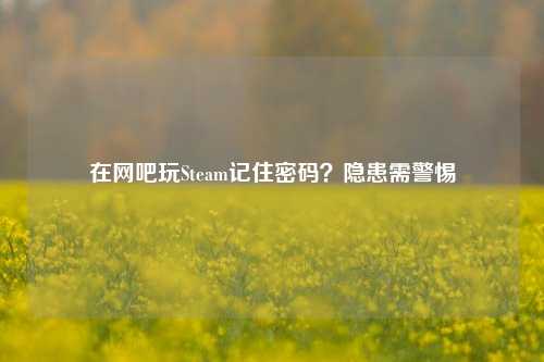 在网吧玩Steam记住密码？隐患需警惕