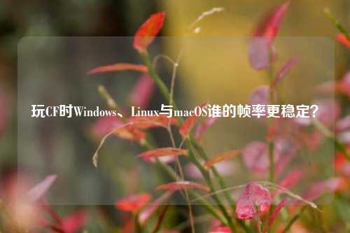 玩CF时Windows、Linux与macOS谁的帧率更稳定?