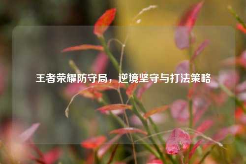 王者荣耀防守局，逆境坚守与打法策略
