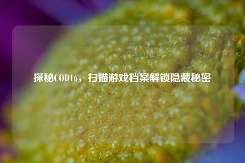 探秘COD16,扫描游戏档案解锁隐藏秘密