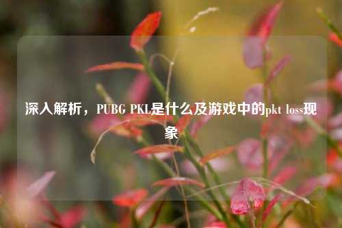 深入解析，PUBG PKL是什么及游戏中的pkt loss现象