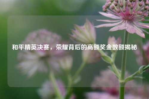 和平精英决赛,荣耀背后的高额奖金数额揭秘