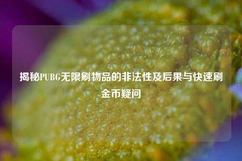 揭秘PUBG无限刷物品的非法性及后果与快速刷金币疑问