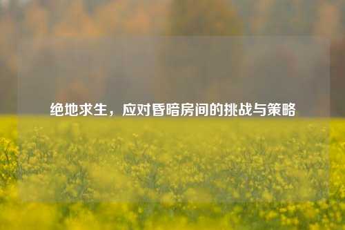 绝地求生，应对昏暗房间的挑战与策略