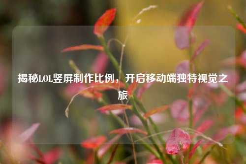 揭秘LOL竖屏制作比例,开启移动端独特视觉之旅