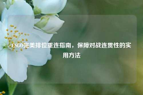 CSGO完美排位重连指南，保障对战连贯性的实用方法
