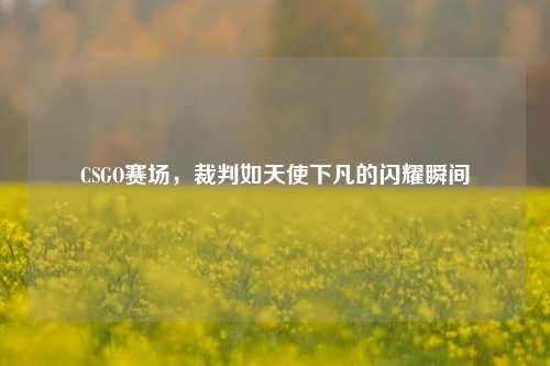 CSGO赛场，裁判如天使下凡的闪耀瞬间