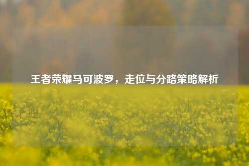 王者荣耀马可波罗,走位与分路策略解析