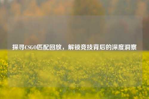 探寻CSGO匹配回放，解锁竞技背后的深度洞察