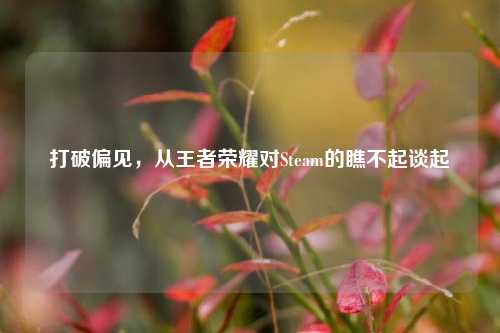 打破偏见,从王者荣耀对Steam的瞧不起谈起