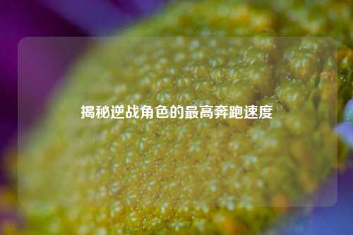 揭秘逆战角色的最高奔跑速度