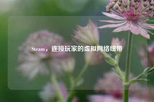 Steam,连接玩家的虚拟网络纽带