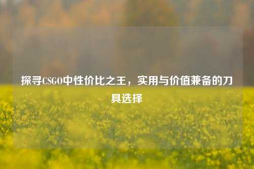 探寻CSGO中性价比之王，实用与价值兼备的刀具选择