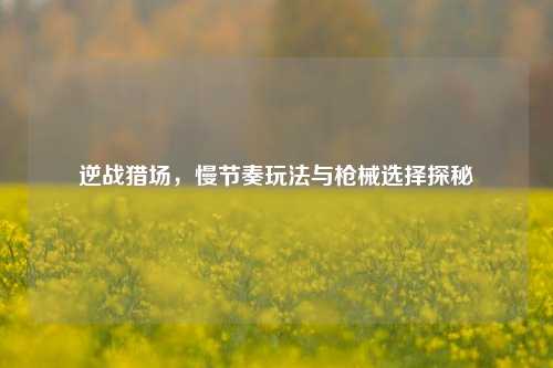 逆战猎场，慢节奏玩法与枪械选择探秘