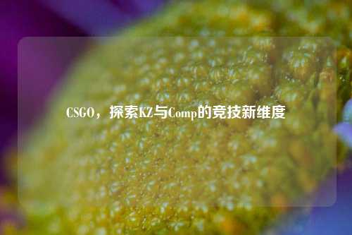 CSGO,探索KZ与Comp的竞技新维度