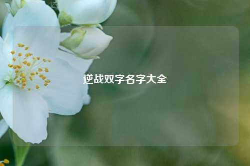 逆战双字名字大全