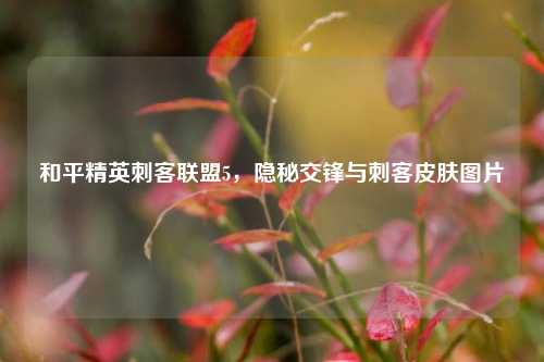 和平精英刺客联盟5,隐秘交锋与刺客皮肤图片