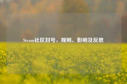 Steam社区封号，规则、影响及反思