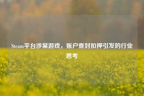 Steam平台涉案游戏，账户查封扣押引发的行业思考